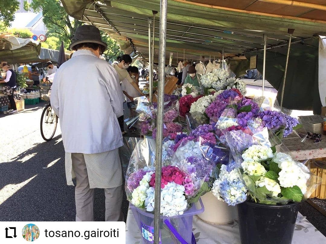 #Repost @tosano.gairoiti...#日曜市　明日は日曜市です。出店者のマスクの着用やアルコール消毒液の設置などの感染症対策をしたうえで通常開催しています。なお、日曜市にいらっしゃる場合には、体調に留意しマスク着用でお願いします。
