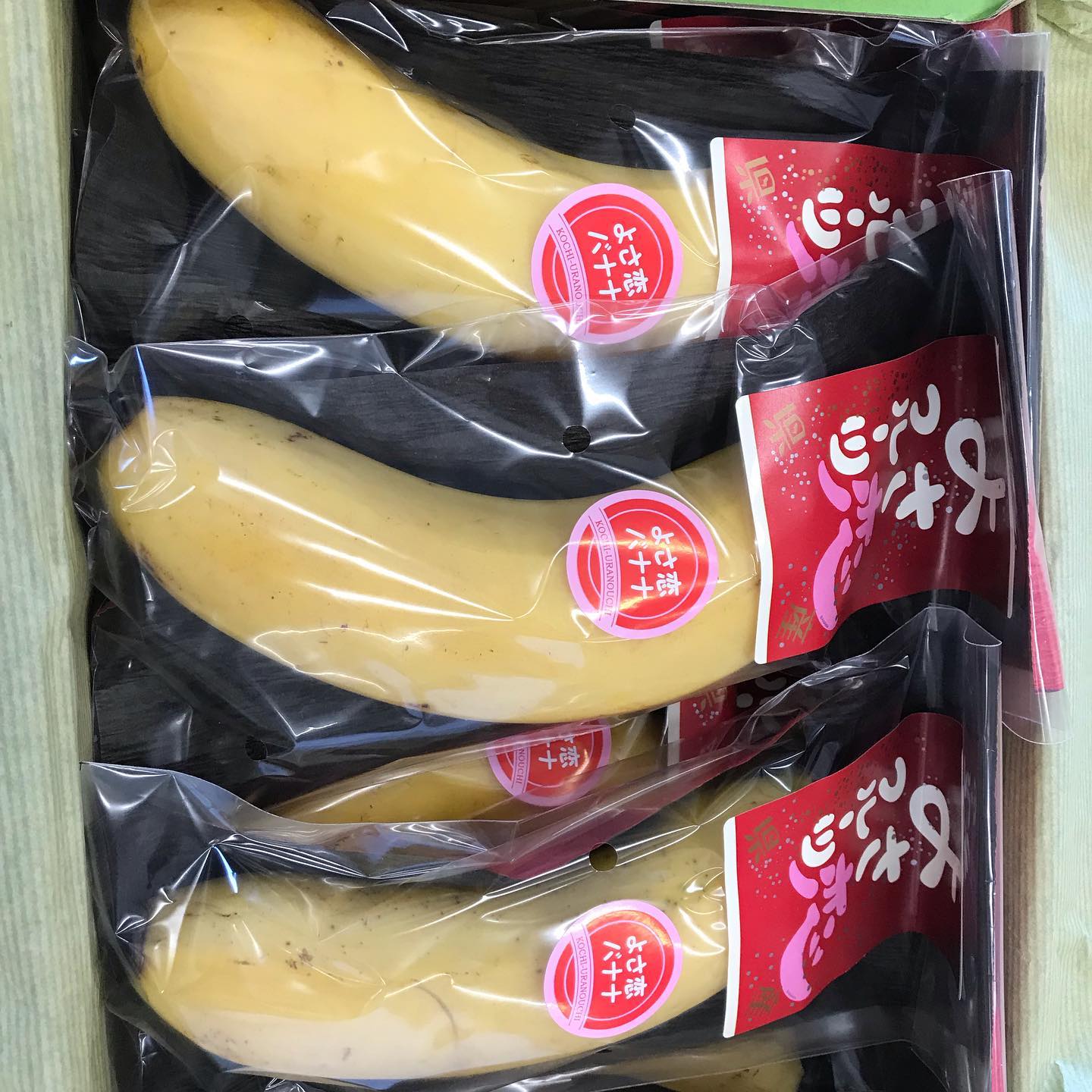 【武田くだもの店】国産のバナナが入荷しました。須崎市浦の内の藤田さんが20年くらい前から栽培しています。詳しくはこちらをご覧ください。http://kochisodachi.com/?pid=142404814#よさ恋バナナ#日曜市くだもの #武田くだもの店#武田青果 #ウエルカムホテル高知から西へすぐ