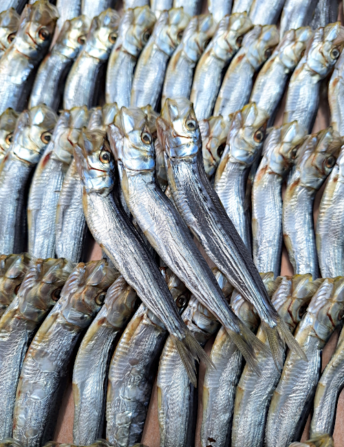 �}�C���V�ۊ���