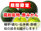 酢みかん（柚子・仏手柑・直七・酢橘）通販